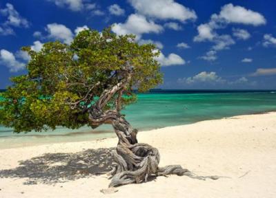 10 ساحل برتر و زیبا در آروبا