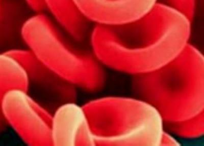 سلول های خونی چگونه شکل می گیرند؟