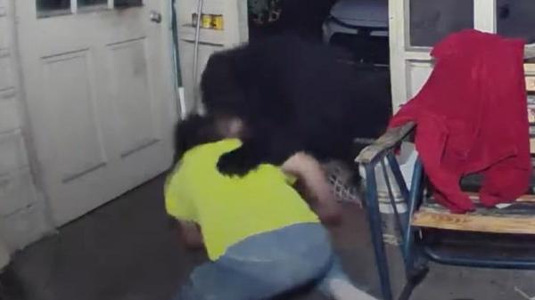 مبارزه مرد آمریکایی با خرس در خانه اش