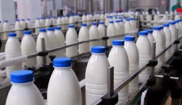 موافقت دولت با افزایش 25 درصدی قیمت شیرخام، لبنیات چقدر گران می گردد؟