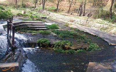 دیوچشمه، چشمه ای مجذوب کننده در اطراف نوشهر